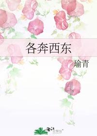 封神年?2024年将被改写的5项纪录!梅西凯恩谁将破纪录?